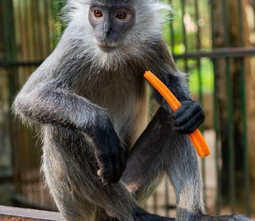 flying monkey 6g disposable instructions